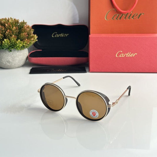 Luxury Vision Series Classic Frame Sunglasses