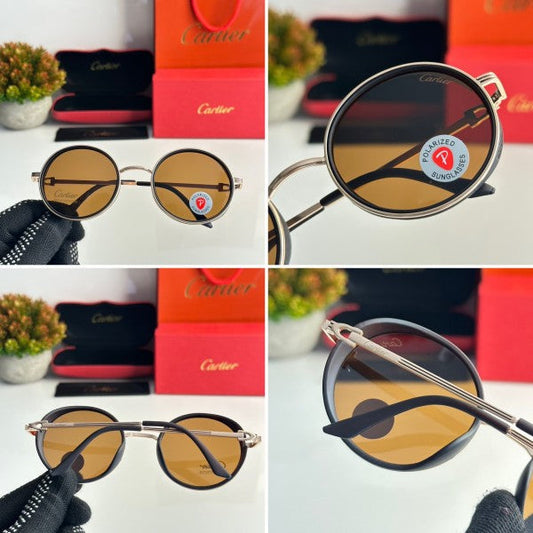 Luxury Vision Series Classic Frame Sunglasses